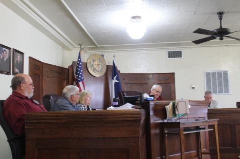 Article Image Alt Text