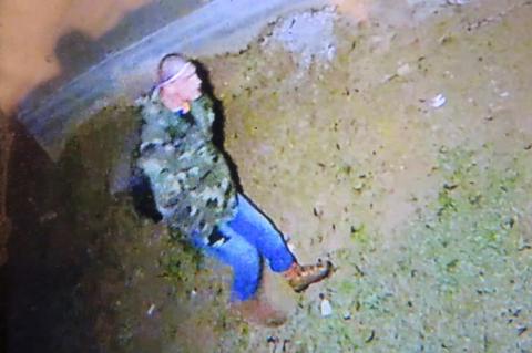 Article Image Alt Text