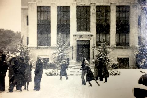 Article Image Alt Text