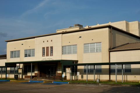 Article Image Alt Text