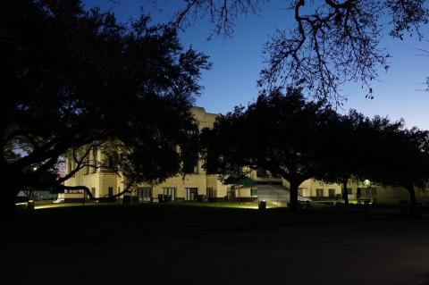 Article Image Alt Text