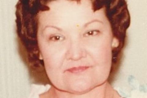 Article Image Alt Text