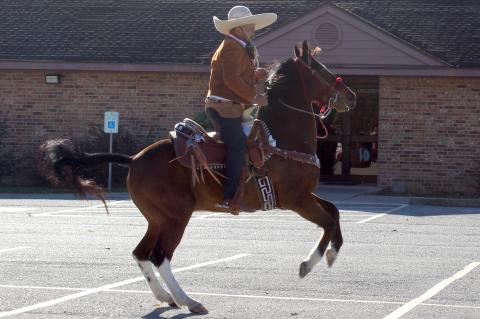 Article Image Alt Text