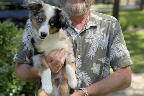 Article Image Alt Text