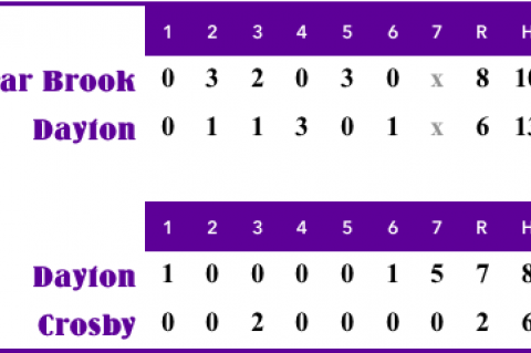 Article Image Alt Text