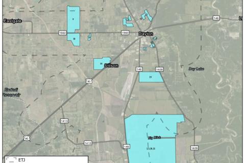 Article Image Alt Text