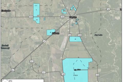 Article Image Alt Text