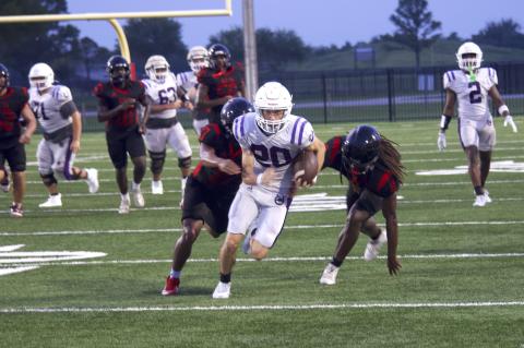 Article Image Alt Text