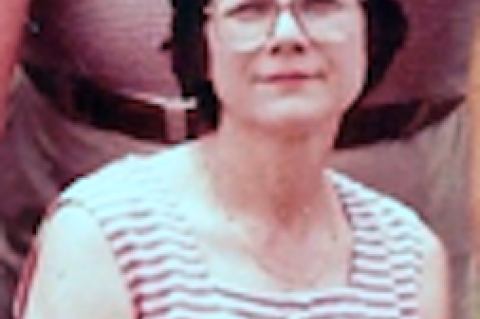 Article Image Alt Text