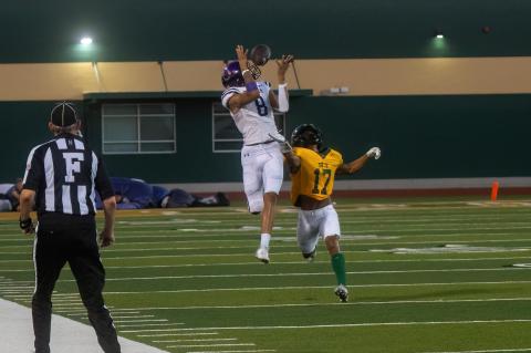 Article Image Alt Text