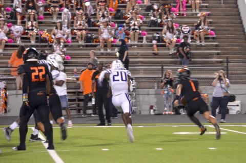 Article Image Alt Text