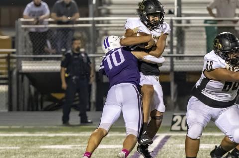 Article Image Alt Text