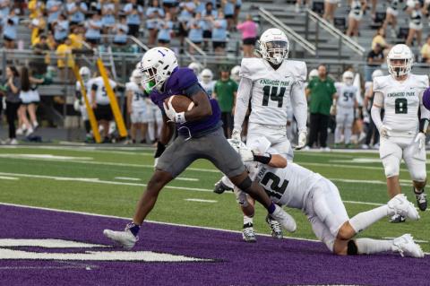 Article Image Alt Text