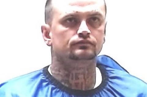 Article Image Alt Text