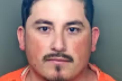 Article Image Alt Text