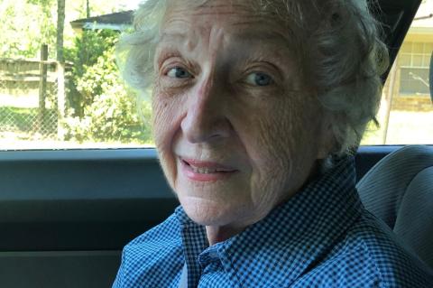 Article Image Alt Text