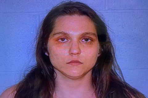 Article Image Alt Text