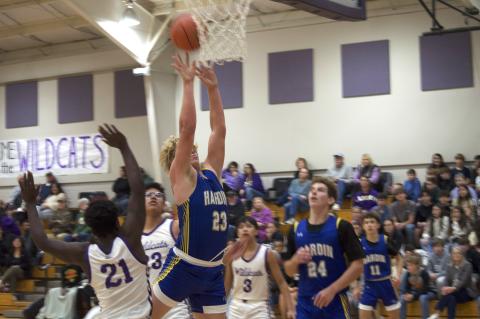 Article Image Alt Text