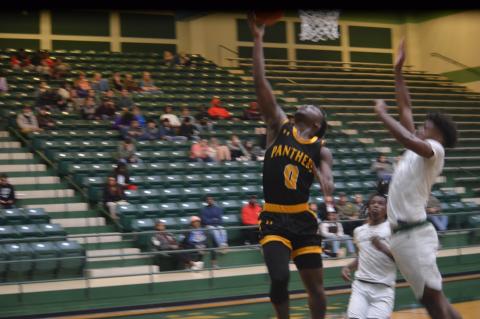 Article Image Alt Text