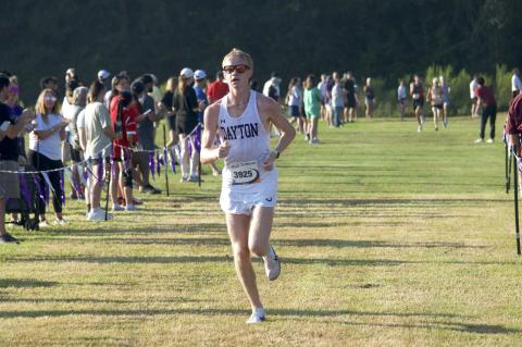 Article Image Alt Text