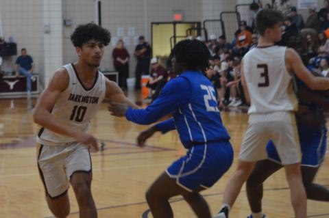 Article Image Alt Text