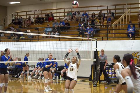 Article Image Alt Text