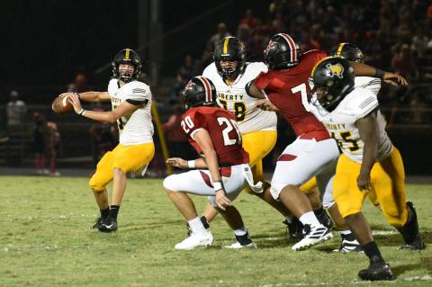 Article Image Alt Text