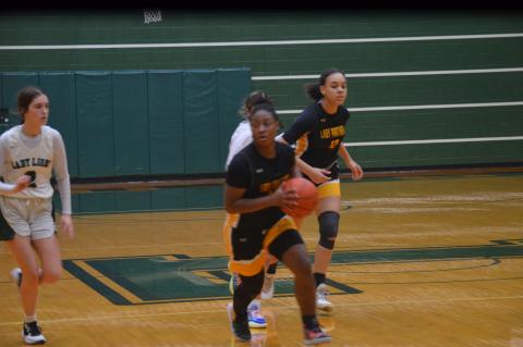 Article Image Alt Text