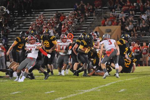 Article Image Alt Text