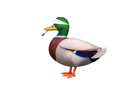 Article Image Alt Text