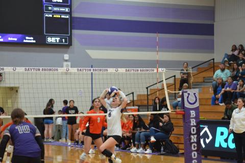 Article Image Alt Text