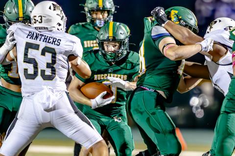 Article Image Alt Text