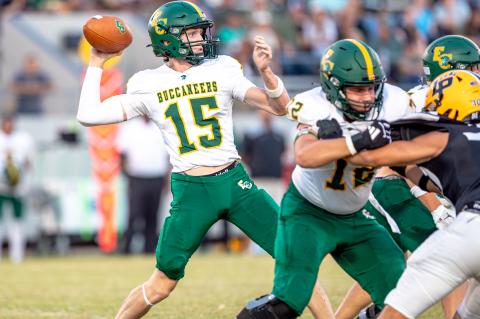 Article Image Alt Text