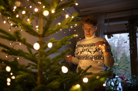 Article Image Alt Text