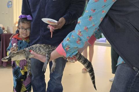 Article Image Alt Text