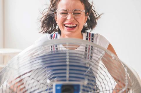 Article Image Alt Text