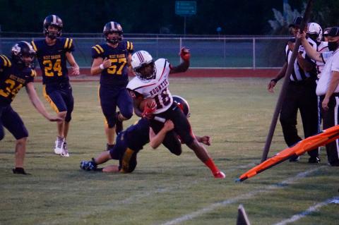 Article Image Alt Text