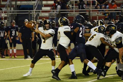 Article Image Alt Text