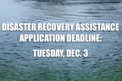 Article Image Alt Text