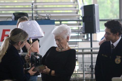 Article Image Alt Text