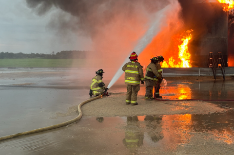 Article Image Alt Text