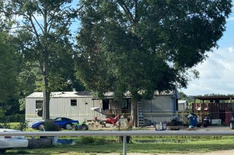 Article Image Alt Text