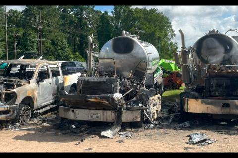 Article Image Alt Text