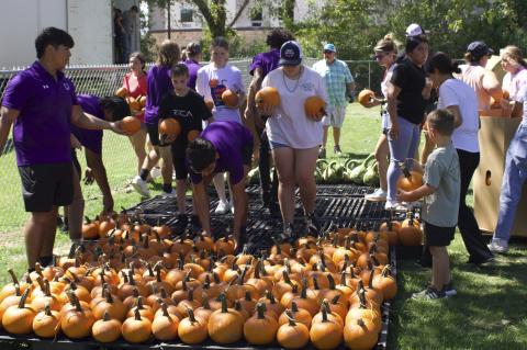 Article Image Alt Text