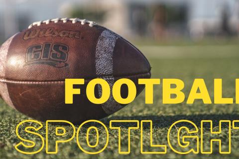 Article Image Alt Text