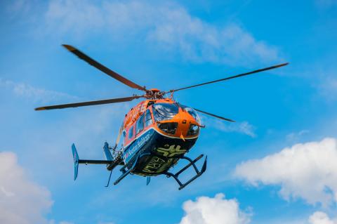 Article Image Alt Text