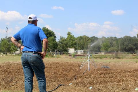 Article Image Alt Text