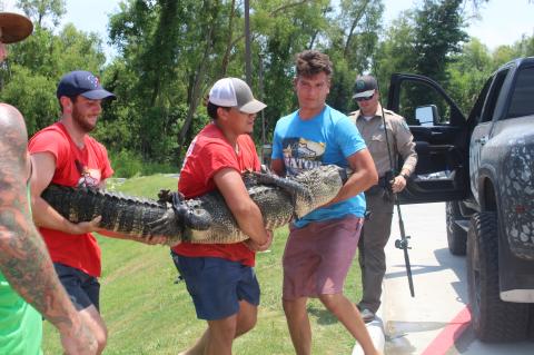 Article Image Alt Text