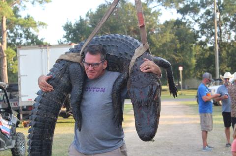 Article Image Alt Text