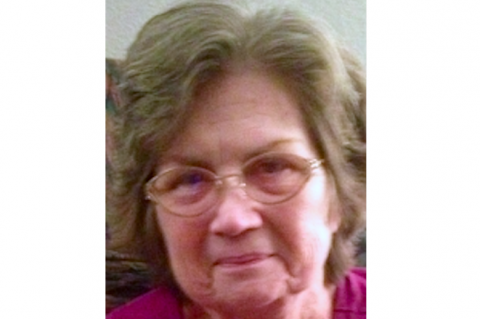 Article Image Alt Text